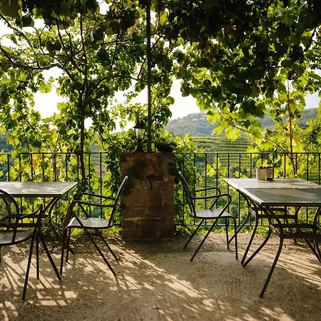 Glamping Senesalina Casa vacanze Kojsko