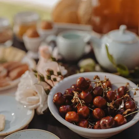 Glamping Senesalina Kojsko