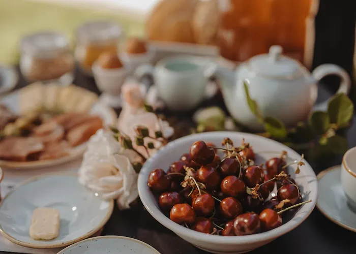 Glamping Senesalina Kojsko